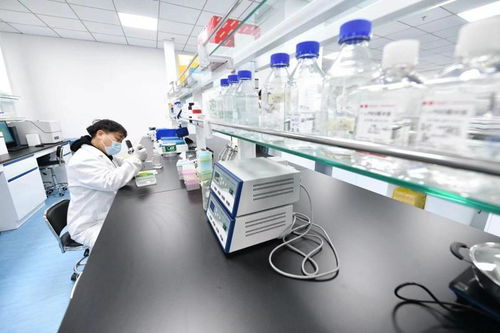 北京亦莊生物醫藥園企業全力以“復”，技術開發驅動產業新活力